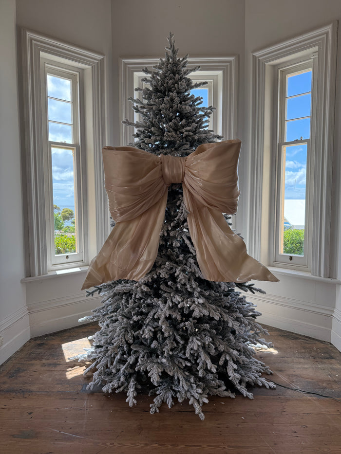Giant Bow