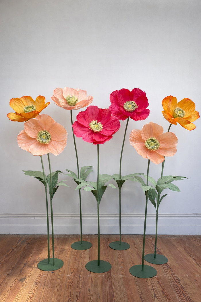 Poppies On Stand