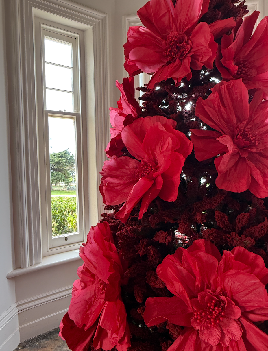 Christmas Flower