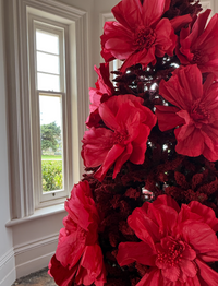 Christmas Flower